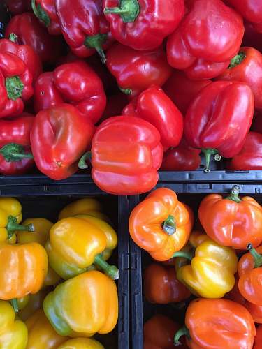 bell pepper red and yellow bell peppers lot vegetable